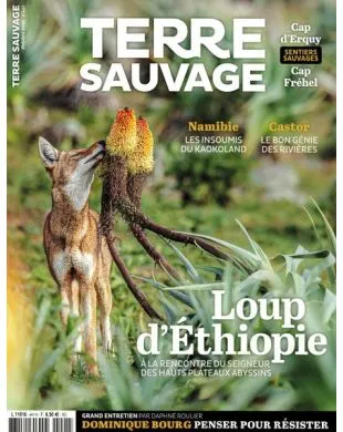 TERRE SAUVAGE