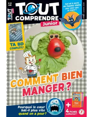 TOUT COMPRENDRE JUNIOR