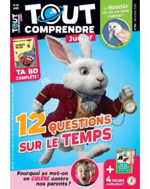 TOUT COMPRENDRE JUNIOR