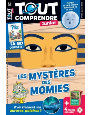 TOUT COMPRENDRE JUNIOR