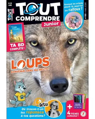 TOUT COMPRENDRE JUNIOR