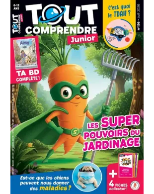 TOUT COMPRENDRE JUNIOR