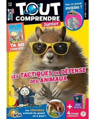 TOUT COMPRENDRE JUNIOR