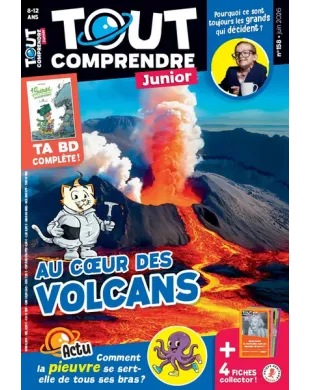 TOUT COMPRENDRE JUNIOR