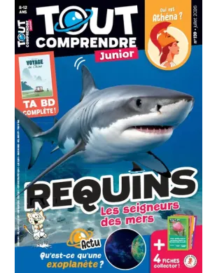 TOUT COMPRENDRE JUNIOR