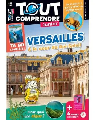 TOUT COMPRENDRE JUNIOR