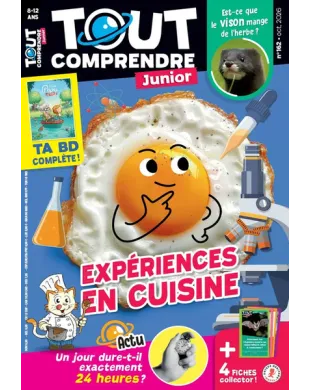 TOUT COMPRENDRE JUNIOR