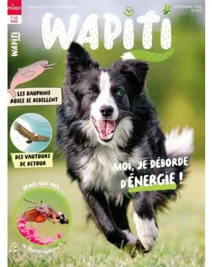 WAPITI
