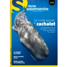 SALAMANDRE