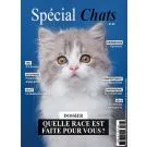 SPECIAL CHATS