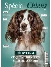 SPECIAL CHIENS
