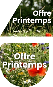 Offre spéciale