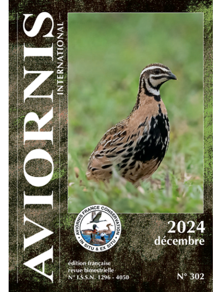 AVIORNIS INTERNATIONAL FRANCE