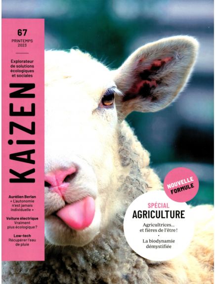 KAIZEN