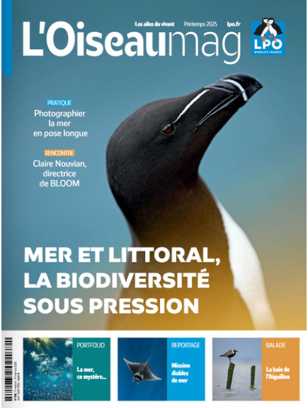 L'OISEAU MAG