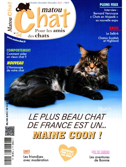 MATOU CHAT