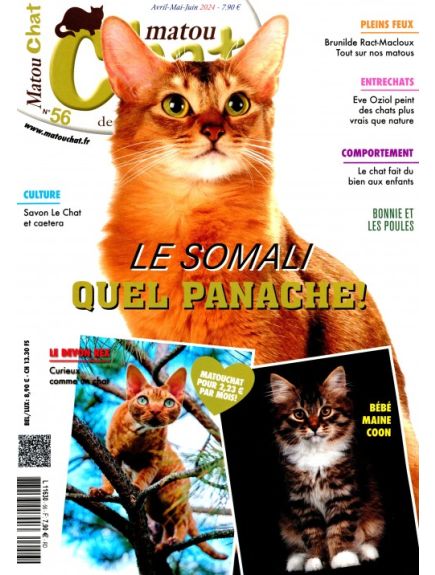 MATOU CHAT