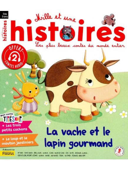 MILLE ET UNE HISTOIRES