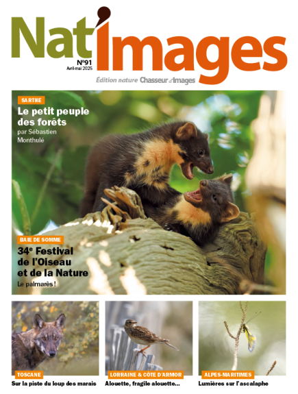 NAT'IMAGES