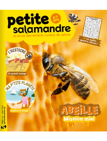 PETITE SALAMANDRE