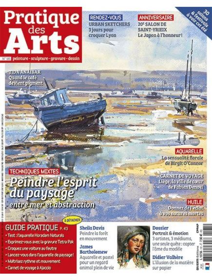 PRATIQUE DES ARTS