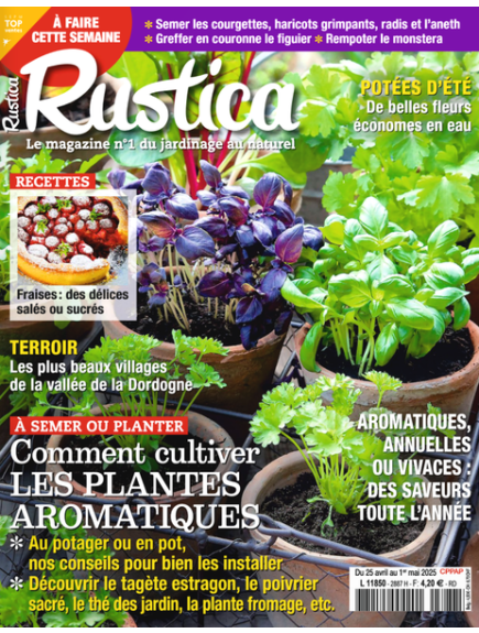 RUSTICA