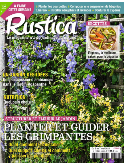 RUSTICA