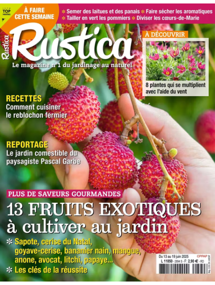 RUSTICA