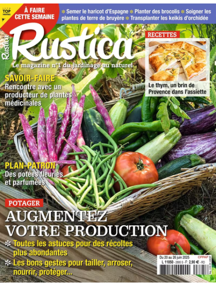 RUSTICA