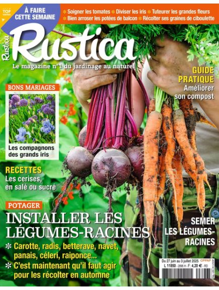 RUSTICA