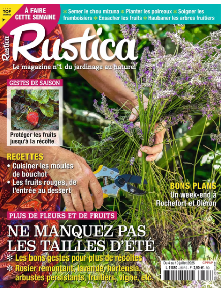 RUSTICA