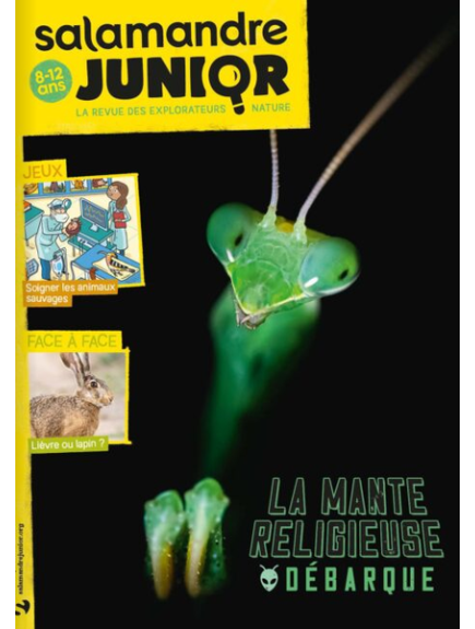 SALAMANDRE JUNIOR