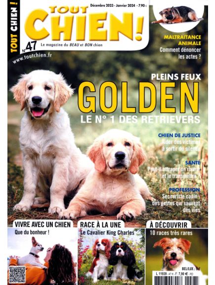 TOUT CHIEN