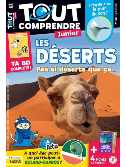 TOUT COMPRENDRE JUNIOR