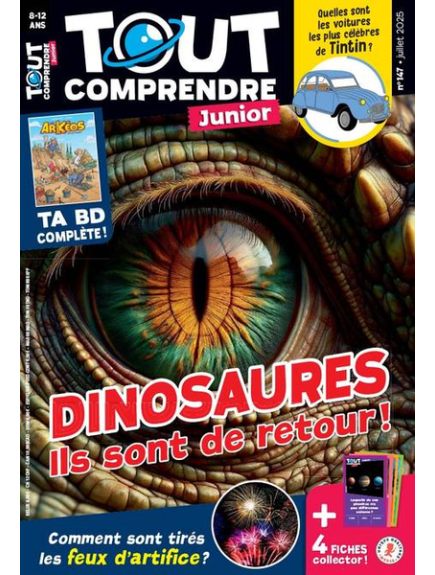 TOUT COMPRENDRE JUNIOR