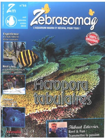 ZEBRASOMAG