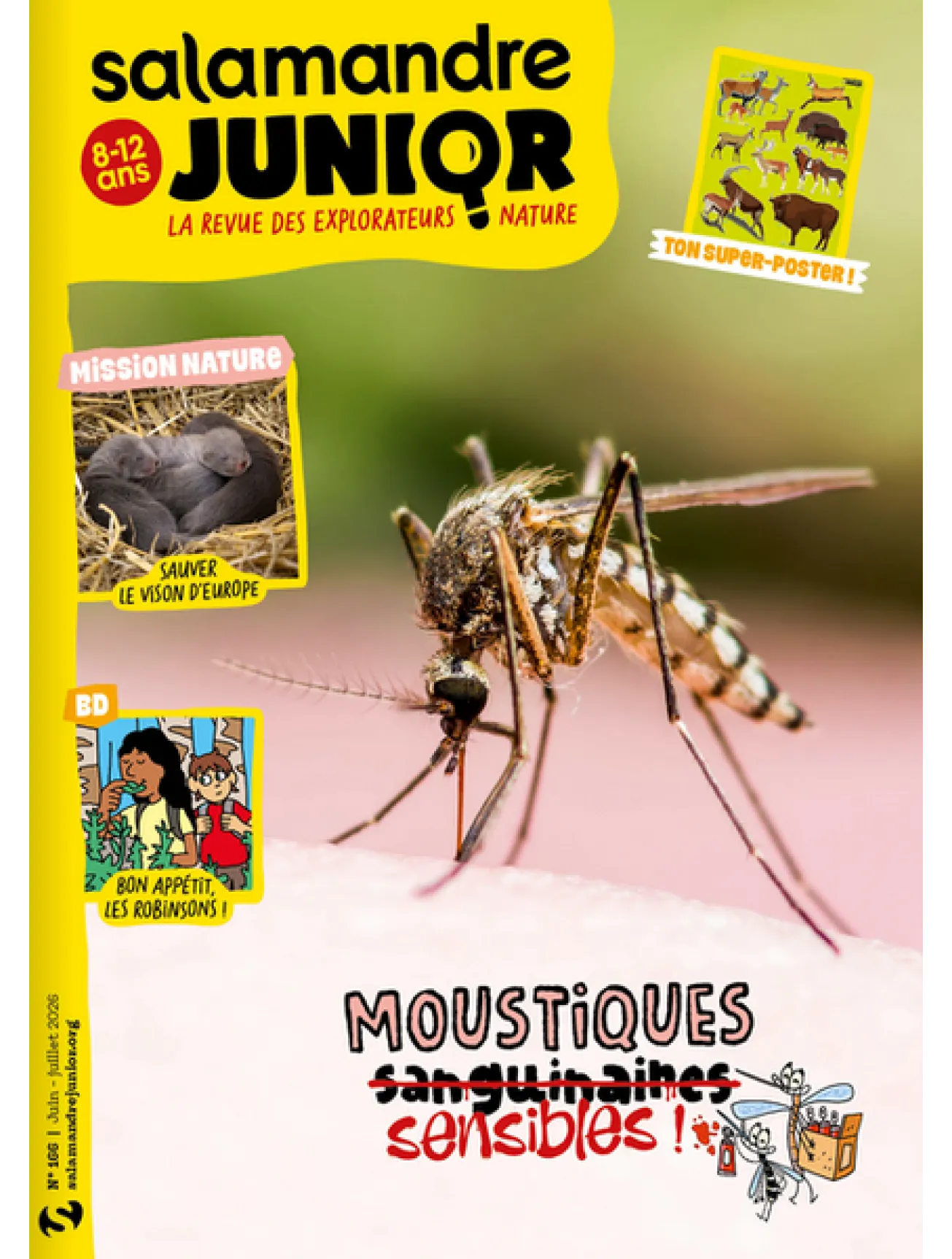 Dernière couverture — Salamandre Junior