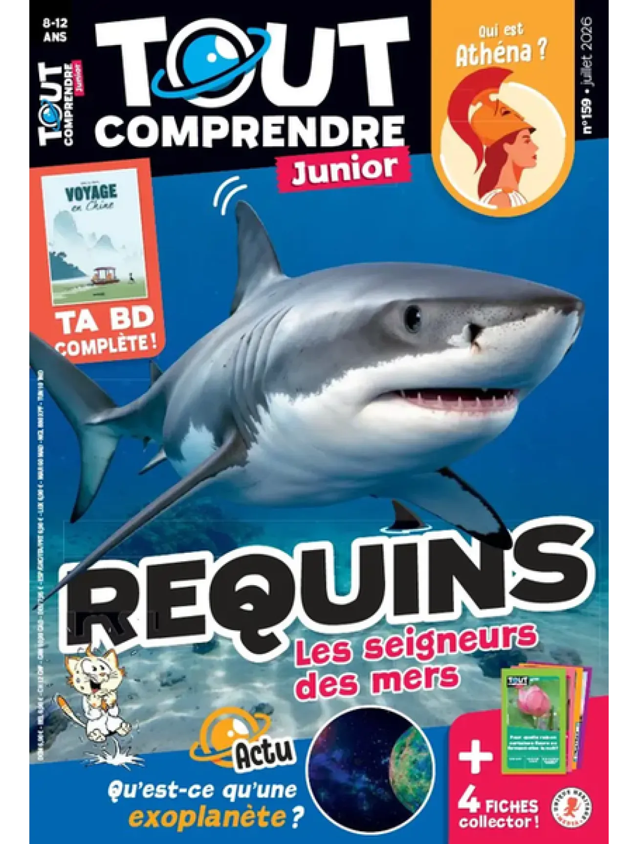 Dernière couverture — tout comprendre junior
