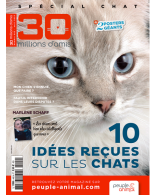 30 MILLIONS D AMIS