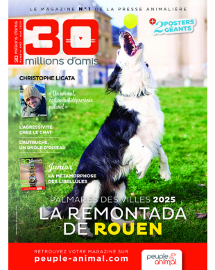 30 MILLIONS D AMIS