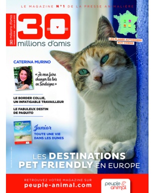 30 MILLIONS D AMIS