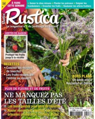 RUSTICA