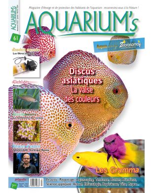 AQUARIUM'S
