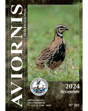 AVIORNIS INTERNATIONAL FRANCE