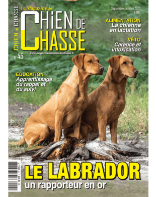 CHIEN DE CHASSE