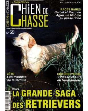 CHIEN DE CHASSE
