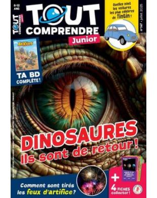 TOUT COMPRENDRE JUNIOR