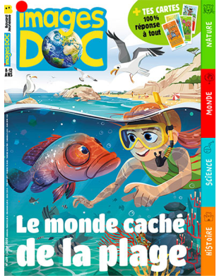 IMAGES DOC
