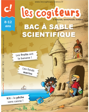 LES COGITEURS