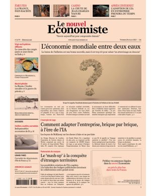 LE NOUVEL ECONOMISTE